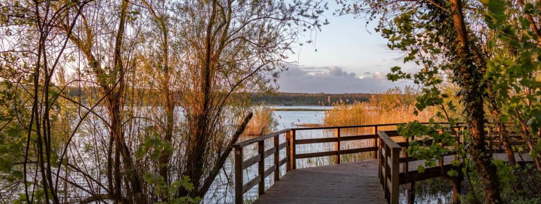 Promenade sur les passerelles