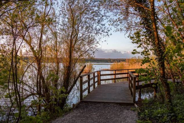 Promenade sur les passerelles