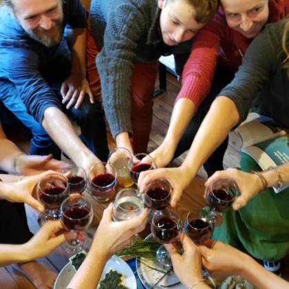 Groupe trinquant avec des verres de vin