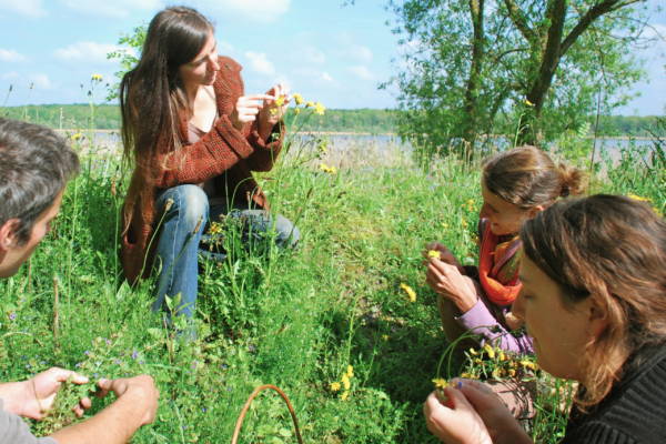 Femme qui montre une une fleur jaune à d'autres personnes, ils sont entourés de beaucoup de verdure.