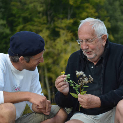 Des enquêtes ethnobotaniques ont été réalisées dans les communes de Chimay.