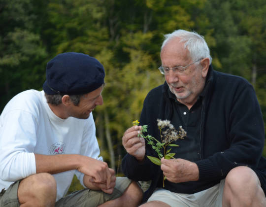 Des enquêtes ethnobotaniques ont été réalisées dans les communes de Chimay.