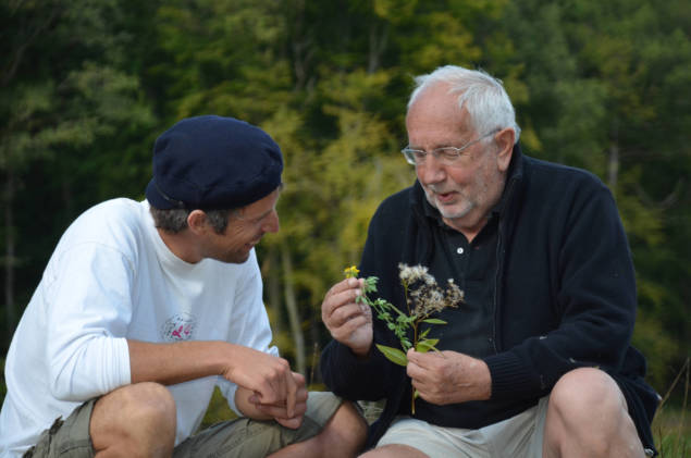 Des enquêtes ethnobotaniques ont été réalisées dans les communes de Chimay. 