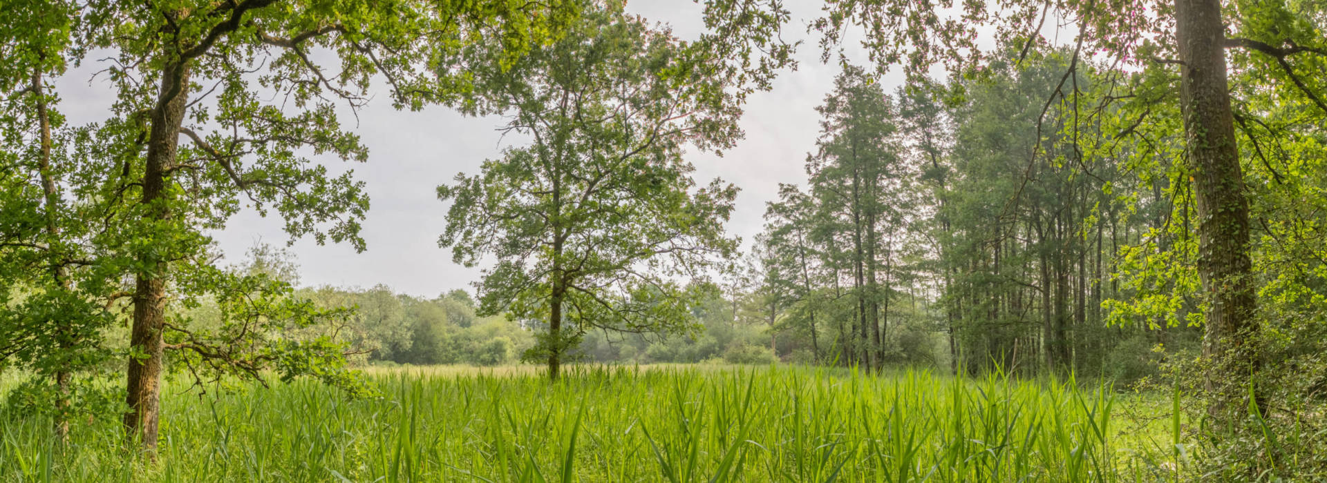 Réserve naturelle