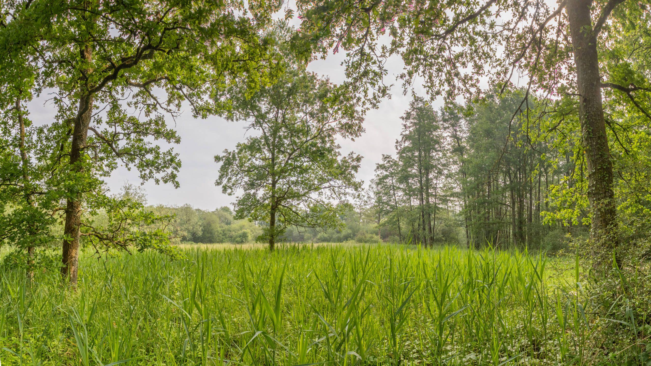 Réserve naturelle Aquascope