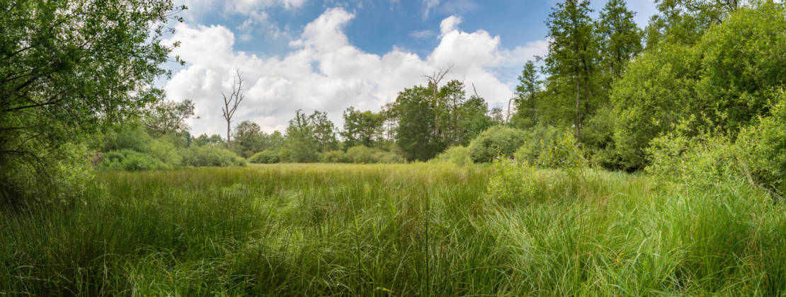 réserve naturelle, ciel bleu avec des nuages et beaucoup de verdures