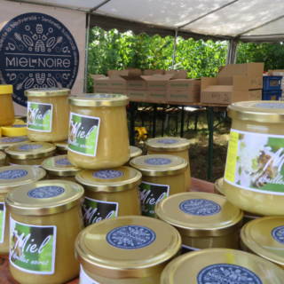 Plusieurs pots de miel disposés sur un stand