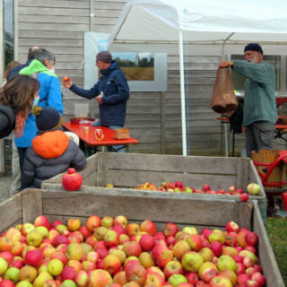 Vente de pommes