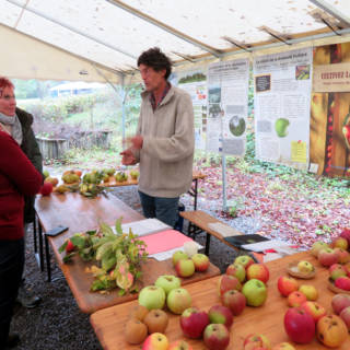 Un vendeur de pomme discute avec des clients