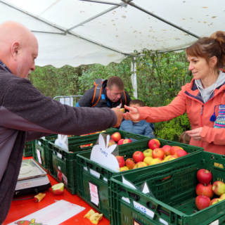 Un vendeur donne une pomme à un visiteur