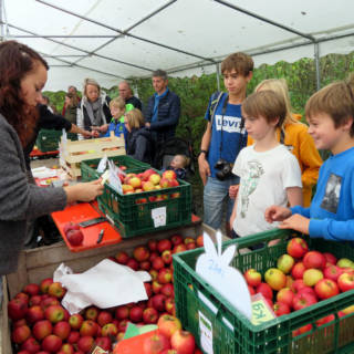 Des enfants observent le stand à pommes