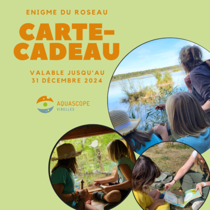 enfants resolvant l'énigme du roseau