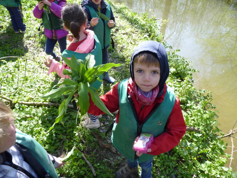 Enfant tenant une plante