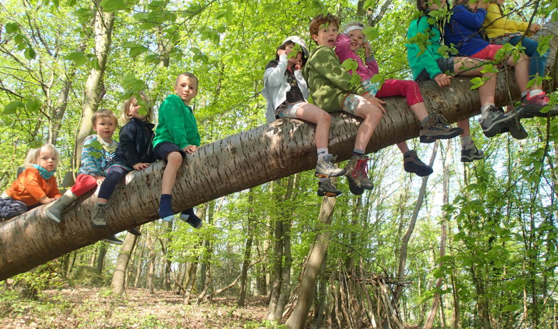 Un groupe d'enfants assis sur une branche d'arbre