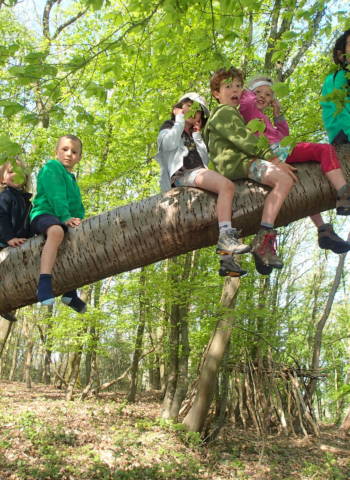 Un groupe d'enfants assis sur une branche d'arbre