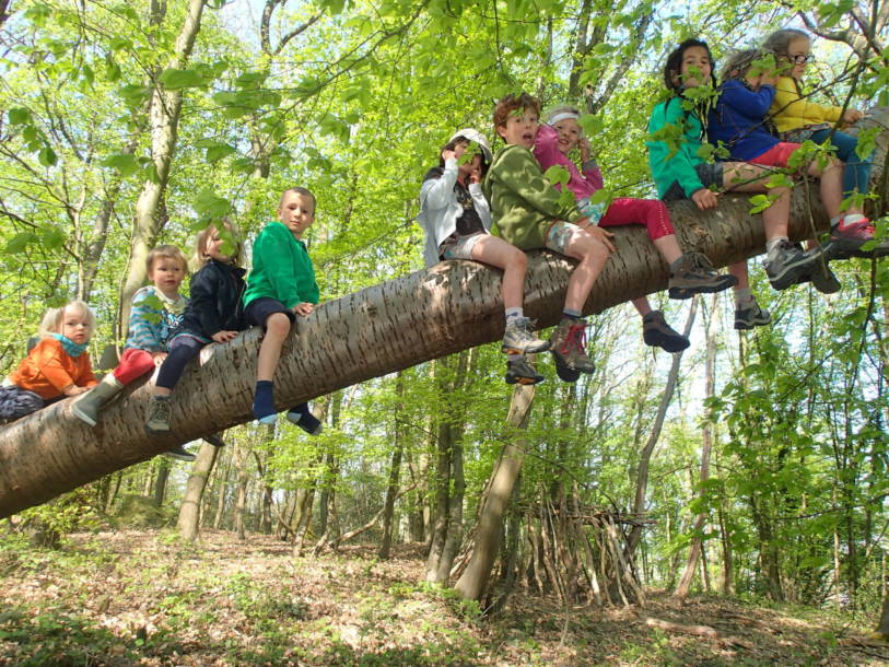 Un groupe d'enfants assis sur une branche d'arbre