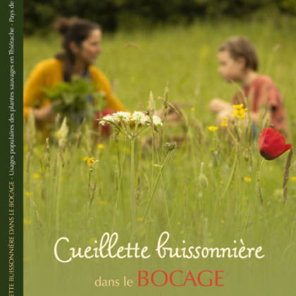 couverture du livre "cueillette buissonnière dans le bocage"