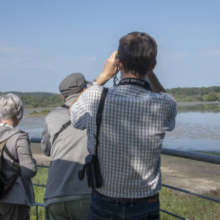 Personnes observant l'étang