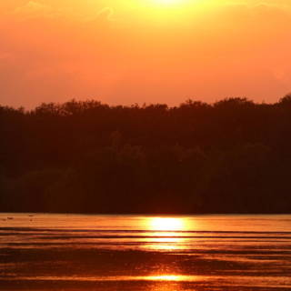 Crépuscule sur avec le soleil reflétant dans l'étang
