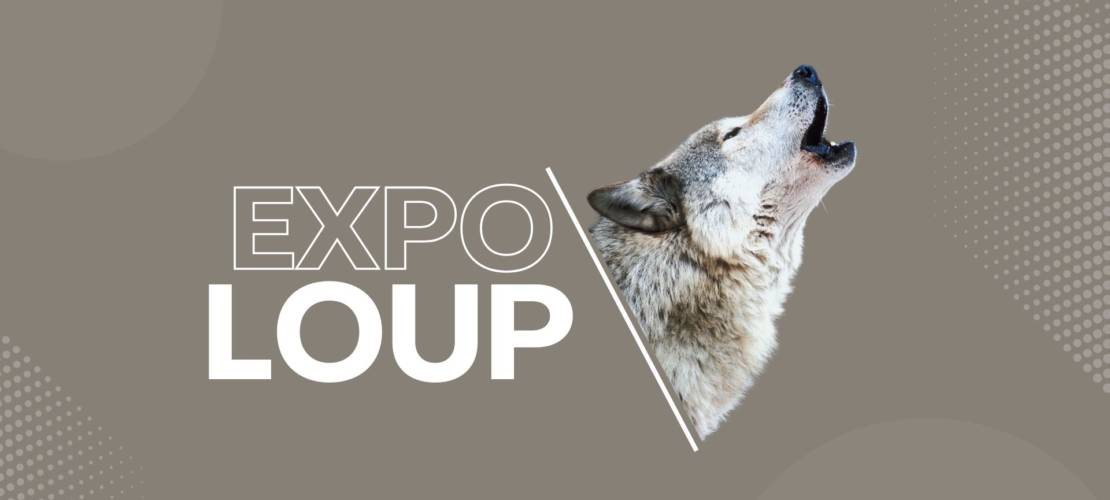 Expo Loup- un loup gris en train de hurler